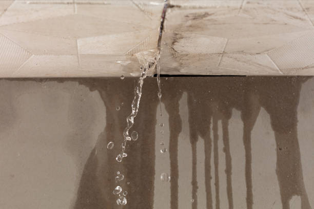 Professional Burst Pipe Cleanup technician working in Hinsdale, IL